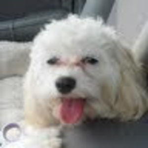 Meet your Posher, Aubrey